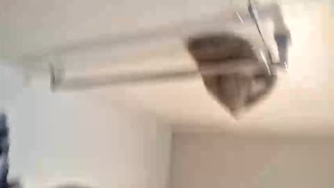 odz9ind online show from February 5, 7:29 pm