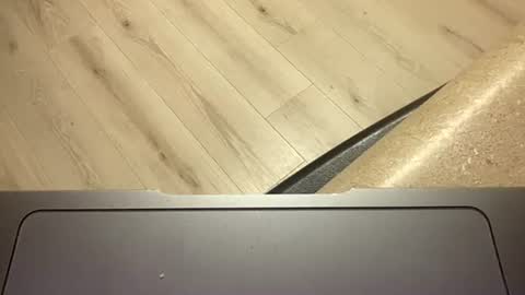 Snapshot of ofthatguy chatting on October 24, 2:30 am ofthatguy online show from October 24, 2:30 am