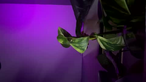 bbygtbckkk online show from December 17, 4:34 am