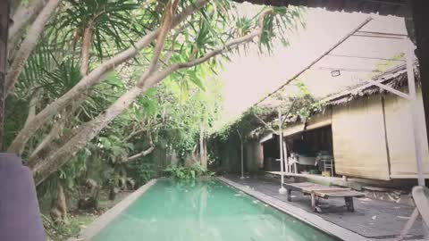 Mo online show from November 18, 1:55 am