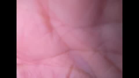 Snapshot of oldaddy2 chatting on September 21, 7:10 am oldaddy2 online show from September 21, 7:10 am