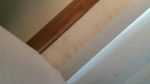 olddognewtrickss online show from September 11, 8:42 pm