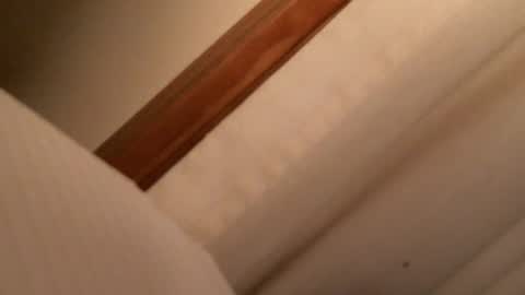 olddognewtrickss online show from September 12, 10:04 am