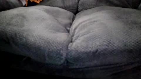 OldMIGUY online show from April 15, 12:12 pm