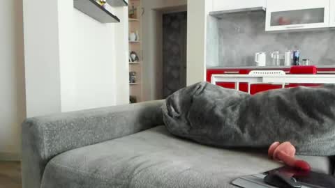 oliviamuur online show from March 31, 7:42 am