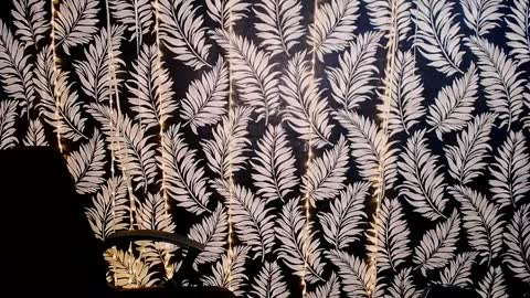 Kelly online show from April 7, 10:37 am