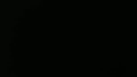 Snapshot of olli_5 chatting on February 13, 11:17 am olli_5 online show from February 13, 11:17 am