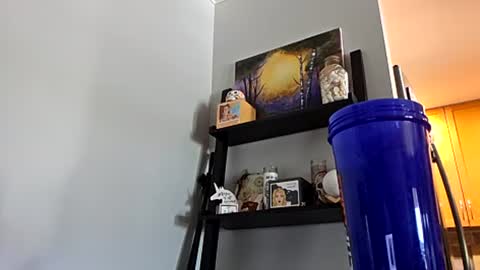 Snapshot of omgitsdon chatting on July 28, 4:16 pm M4STERD0N - SC online show from July 28, 4:16 pm