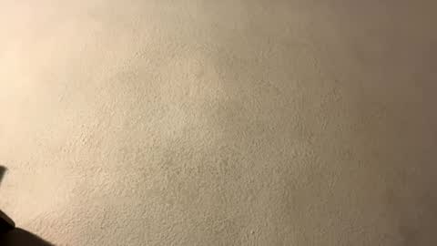 amy 3 online show from September 28, 8:47 pm