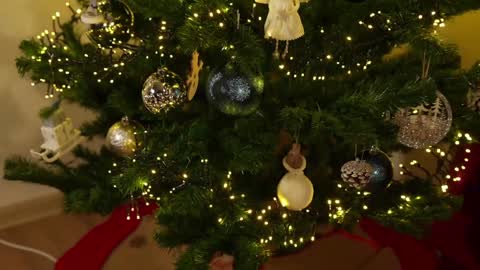 Snapshot of omiliver chatting on December 3, 9:56 pm    or    online show from December 3, 9:56 pm