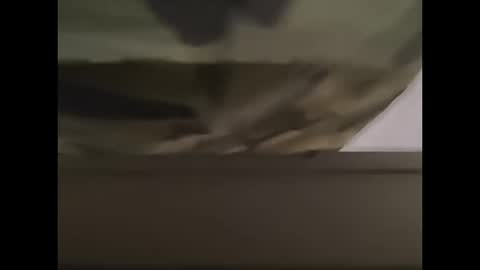 oneeyesnake1843142 online show from October 12, 1:21 pm