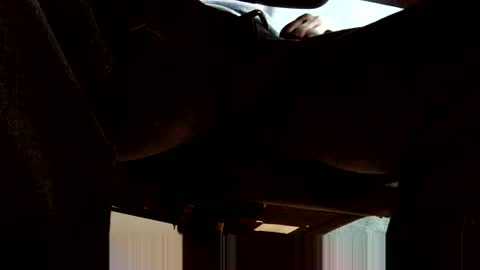 oneeyesnake1843142 online show from October 19, 6:25 am