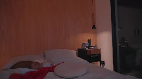 Ariel online show from December 27, 6:53 pm