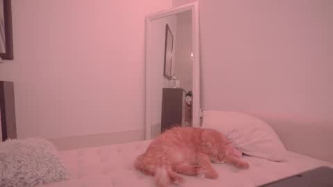 Ariel online show from October 18, 9:26 pm