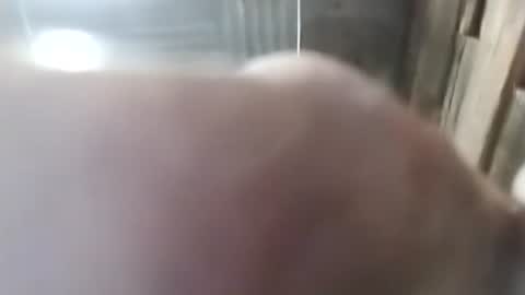 1760fourtwo86681 online show from February 28, 5:30 am