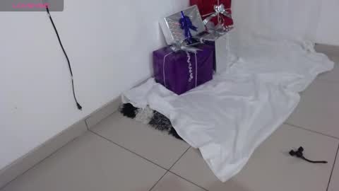 Snapshot of onlysaralee chatting on December 23, 4:21 am Sara Lee online show from December 23, 4:21 am