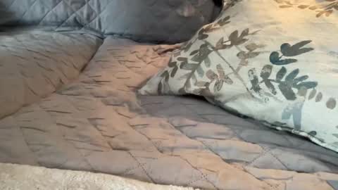 Snapshot of onthedlhere chatting on January 9, 7:18 pm onthedlhere online show from January 9, 7:18 pm