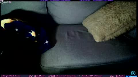 Snapshot of ooh_sweet chatting on November 4, 3:16 am OF - Ooh 69sweet SNAP4LIFE OFFLINE 899 normal VIP 1369 outside online show from November 4, 3:16 am