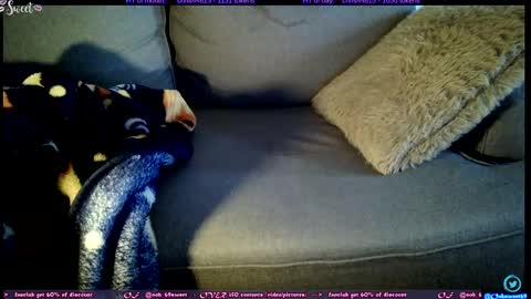 Snapshot of ooh_sweet chatting on November 5, 1:00 pm OF - Ooh 69sweet SNAP4LIFE OFFLINE 899 normal VIP 1369 outside online show from November 5, 1:00 pm