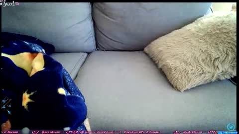 Snapshot of ooh_sweet chatting on June 27, 2:34 pm OF - Ooh 69sweet SNAP4LIFE OFFLINE 899 normal VIP 1369 outside online show from June 27, 2:34 pm