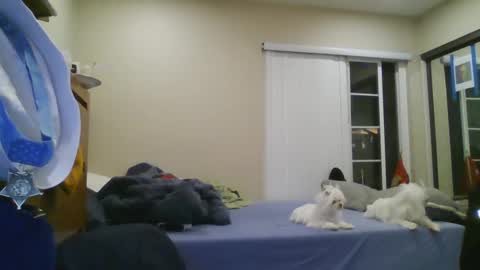 Snapshot of oorah1775 chatting on December 22, 5:12 am oorah1775 online show from December 22, 5:12 am