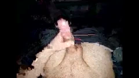 Snapshot of opelator chatting on January 27, 6:20 pm opelator online show from January 27, 6:20 pm