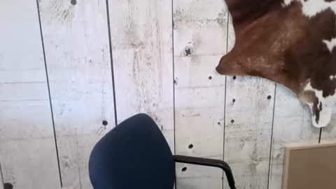 kinkynerd online show from November 1, 3:25 pm