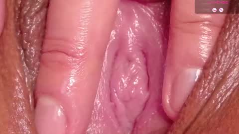 orchidekitty online show from July 17, 11:53 pm