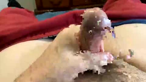 Super Soaker Oreo World online show from December 30, 7:21 pm