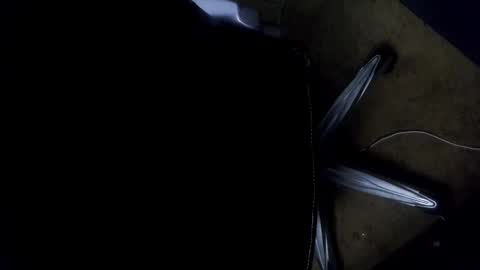 Snapshot of orgasmgiver9090 chatting on November 7, 7:36 pm orgasmgiver9090 online show from November 7, 7:36 pm