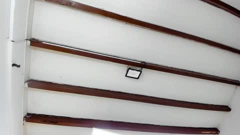 Miss Guzman  online show from February 7, 6:24 pm