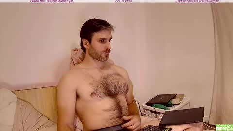 Osito Blanco online show from November 6, 12:55 am