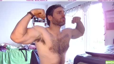 Osito Blanco online show from November 13, 8:19 pm