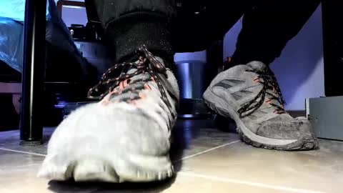 Pablo Meness online show from March 21, 6:29 am