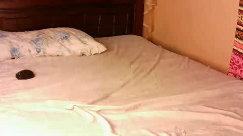 Snapshot of pacie1 chatting on November 22, 12:15 pm Pacie online show from November 22, 12:15 pm