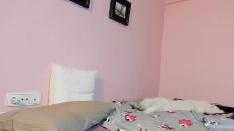 Merce   online show from January 17, 8:24 am