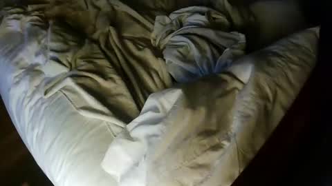 pale001zan online show from September 29, 8:08 am