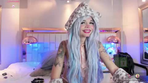 Palmer  online show from November 15, 2:24 pm