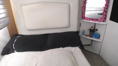 Snapshot of palmer_mix chatting on January 7, 7:49 pm Palmer online show from January 7, 7:49 pm