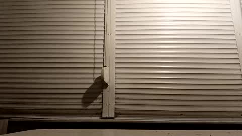 angel hris online show from January 13, 6:46 pm