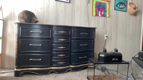 Pantiesofthefae online show from January 20, 5:27 pm