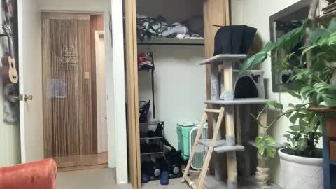 Pantiesofthefae online show from October 13, 9:53 am