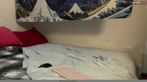 PantsLessTraveler online show from December 16, 6:24 pm