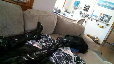 Snapshot of pantyhoselover934 chatting on December 30, 10:23 pm Pantyhoselover online show from December 30, 10:23 pm