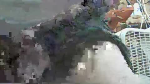 Snapshot of papajb70 chatting on September 29, 2:27 am papajb70 online show from September 29, 2:27 am