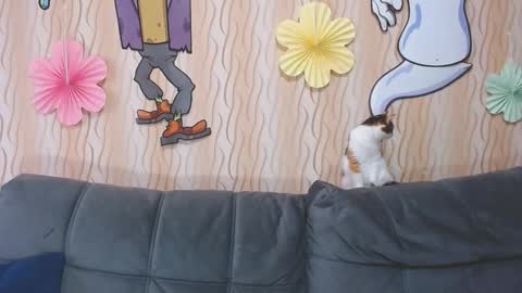 I am Lora and i am glad to see you in my room online show from October 11, 3:50 am