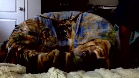 patdaddy12 online show from April 16, 9:50 pm