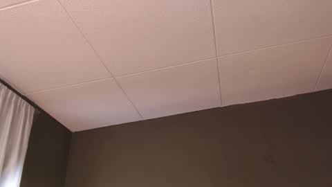 Paul online show from December 5, 1:31 pm