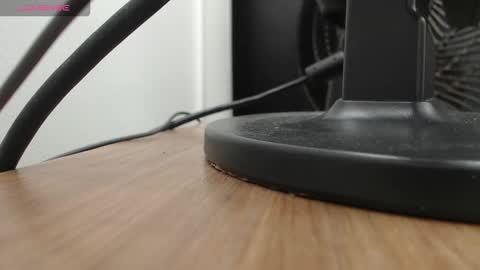 PAUL online show from November 19, 12:27 pm