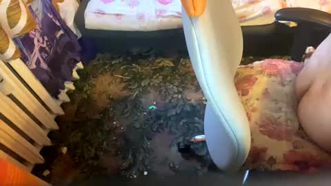 pawelmajster3 online show from October 18, 3:35 pm